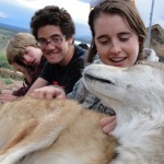 Meet A Wolf