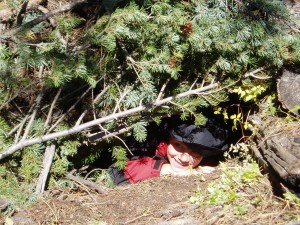 Survival Shelter