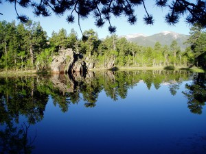 Reflection
