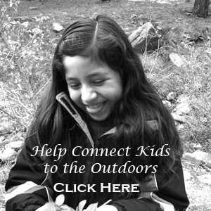 Action Projects