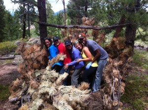 Survival Shelter 2