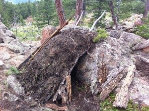 Survival Shelter 1