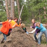 Debris Shelter Pose