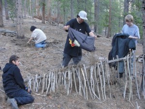 Debris Hut Frame