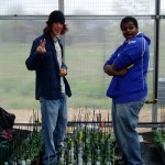 Organic Farm Greenhouse