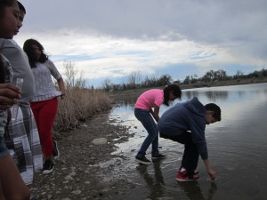 Water Monitoring