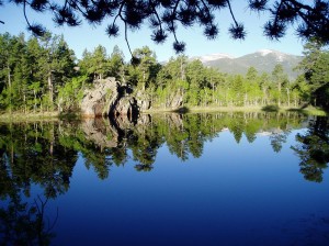 Taylor Mountain Lake