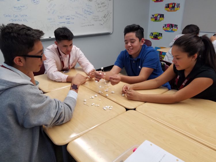 Going Green for the Holidays with STRIVE Prep RISE Cottonwood Institute