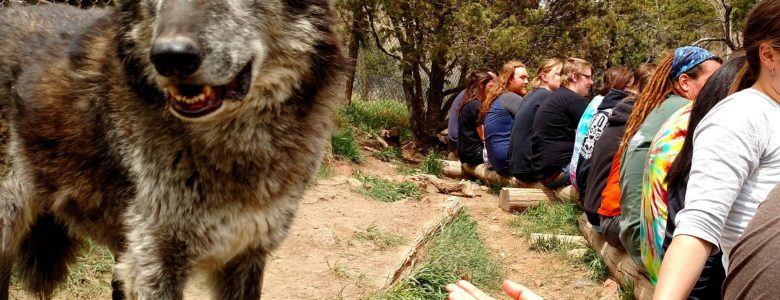 STRIVE Prep-Sunnyside goes howling with wolves