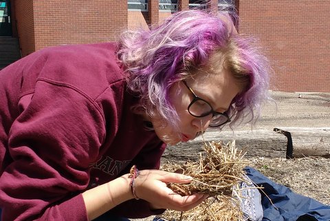 New Vista High School's action packed field days