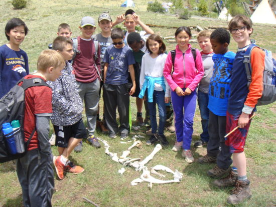 Littleton Academy students become as calm as the wolves. 