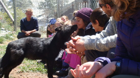 Littleton Academy spends a weekend with the wolves