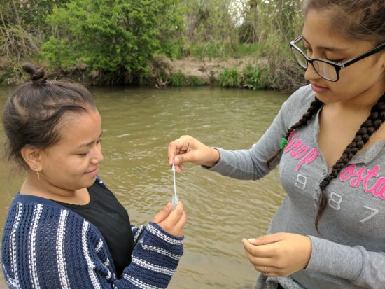 Denver Green School Students Educate Their Community On Environmental Issues