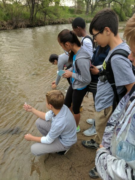 Denver Green School Students Educate Their Community On Environmental Issues