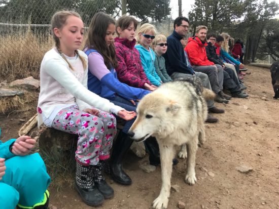 Littleton Academy Students Make Friends With Wolves