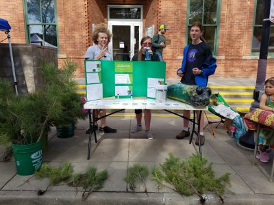 CHS Emerald Ash Borer Action Project