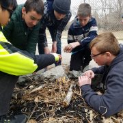 Angevine Middle School Outdoor Classroom Action Project