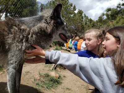Littleton Academy Mission Wolf Trip Summer 2019