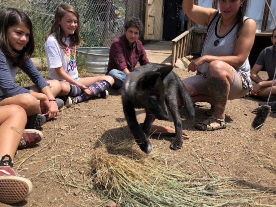 Colorado Academy Summer Camp Students at Mission: Wolf