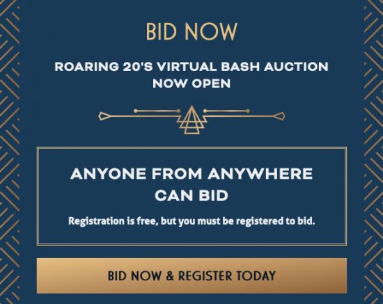Bid Now 2020 Virtual Bash Auction