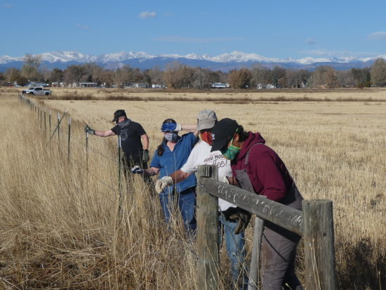 Stewardship Internship