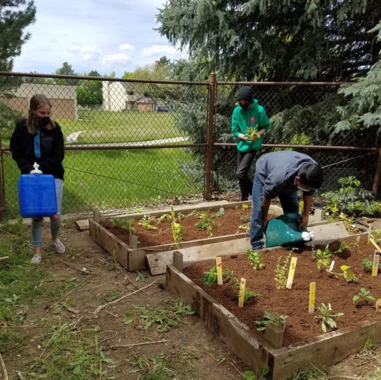 Centaurus CAP Class Garden Action Project