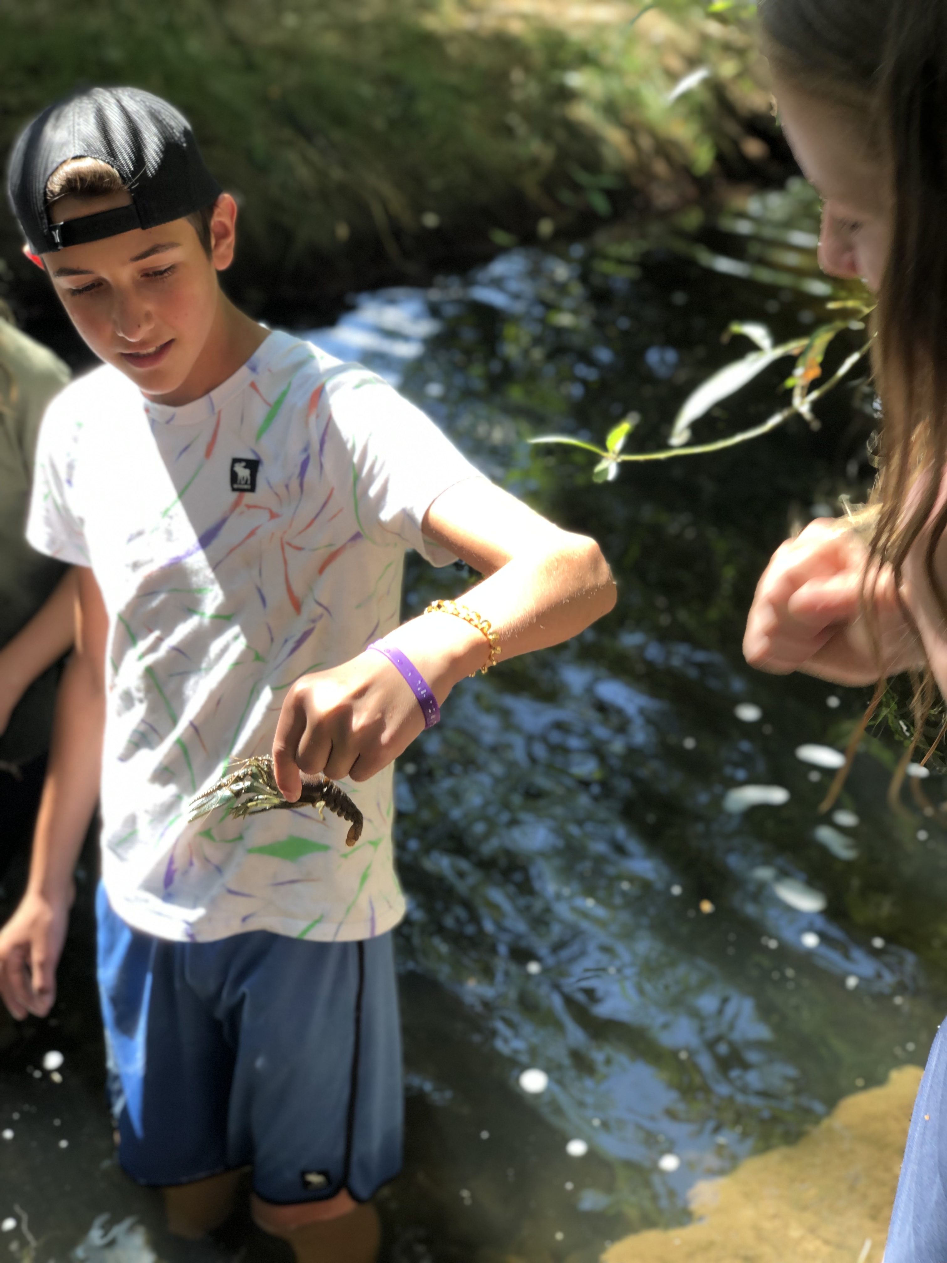 Students find crawfish in the creek
