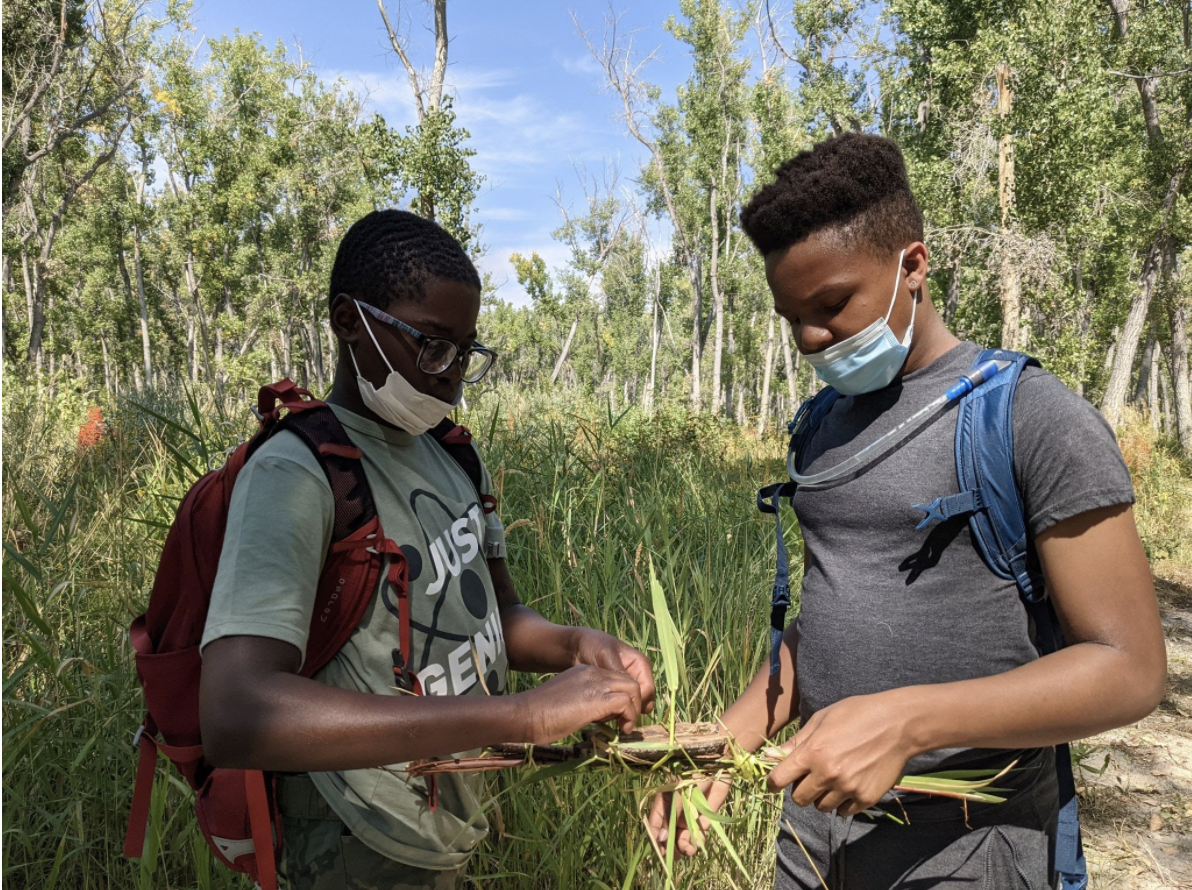 Students learn about the ecology of the area