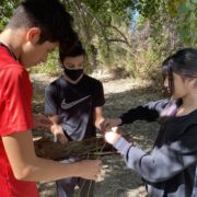 Lafayett Youth Corps Students Work Together