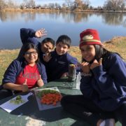 Westwood students cook lunch!