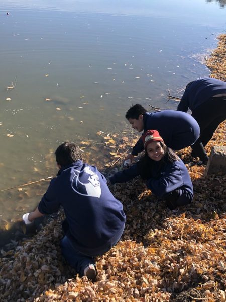 Westwood students conduct water testing