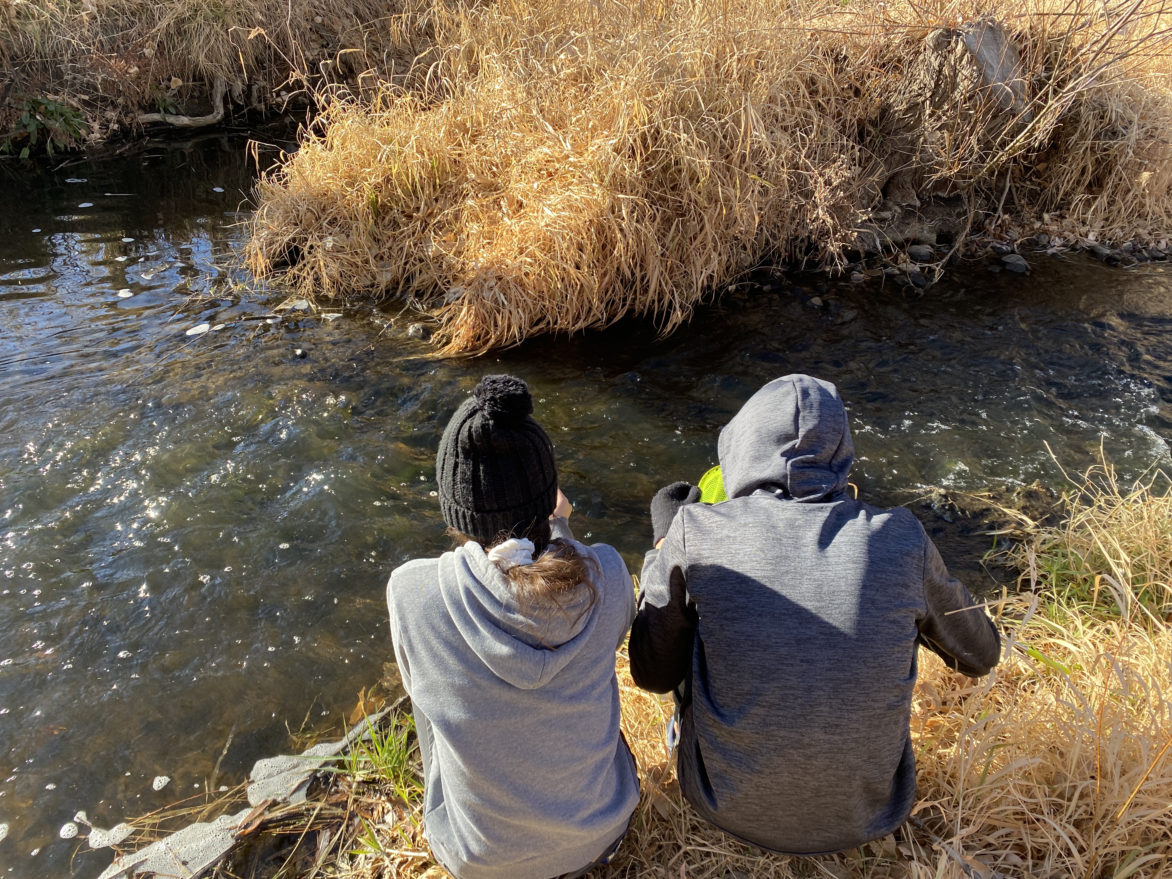 LYC interns test Coal Creek