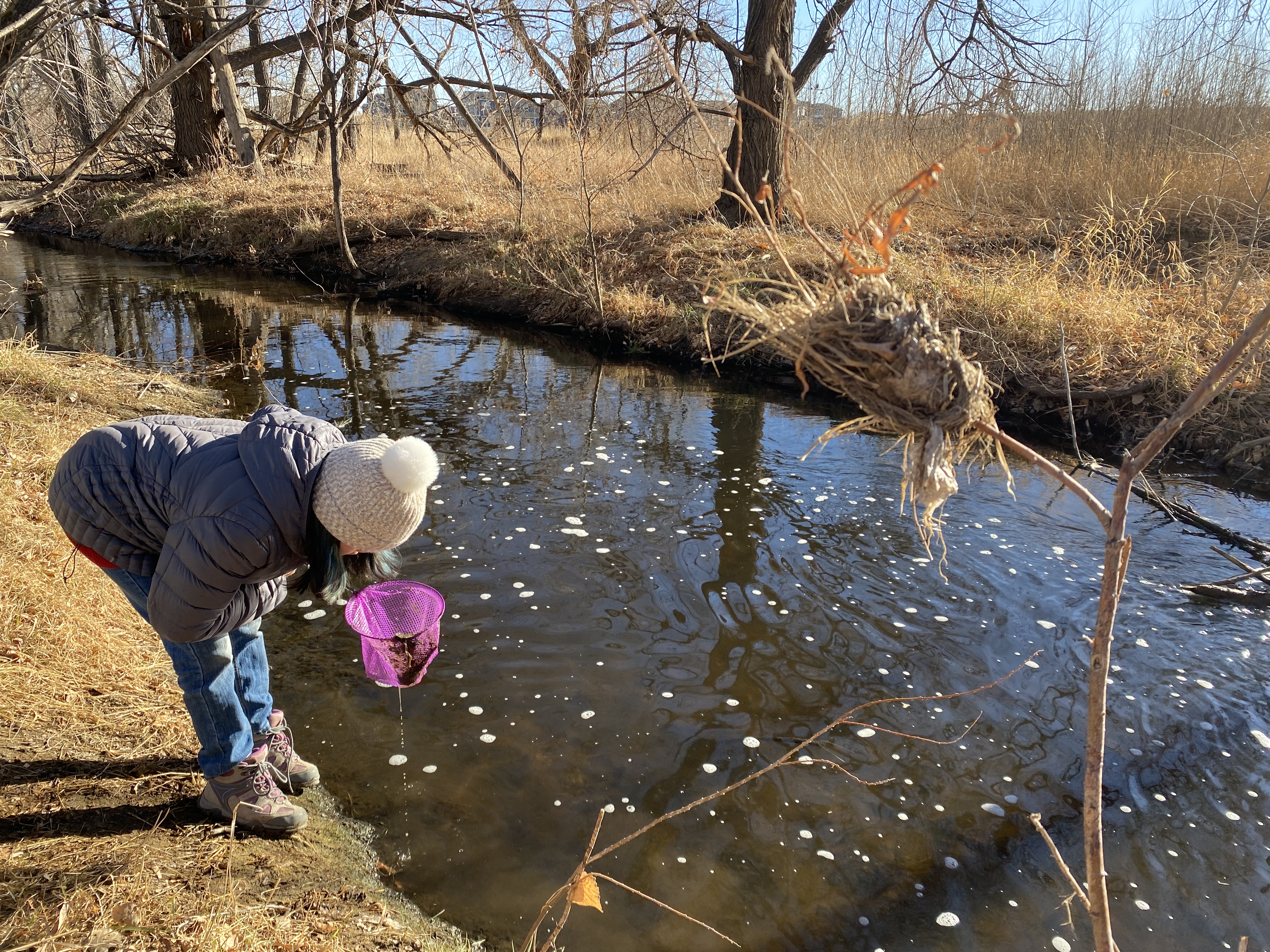 LYC intern tests Coal Creek