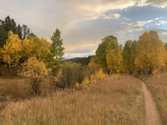 Fall colors in Golden Gate Canyon State Park