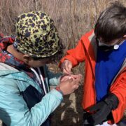 Two CHS students check out macroinvertebrates from Coal Creek.