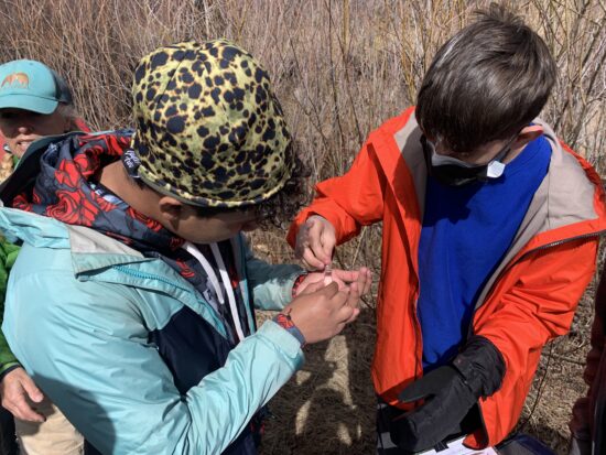 Two CHS students check out macroinvertebrates from Coal Creek.