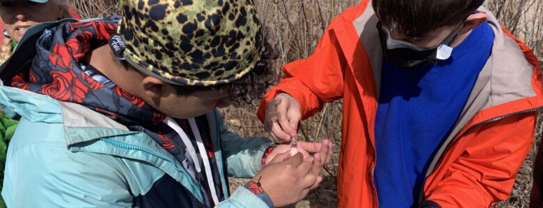 Two CHS students check out macroinvertebrates from Coal Creek.