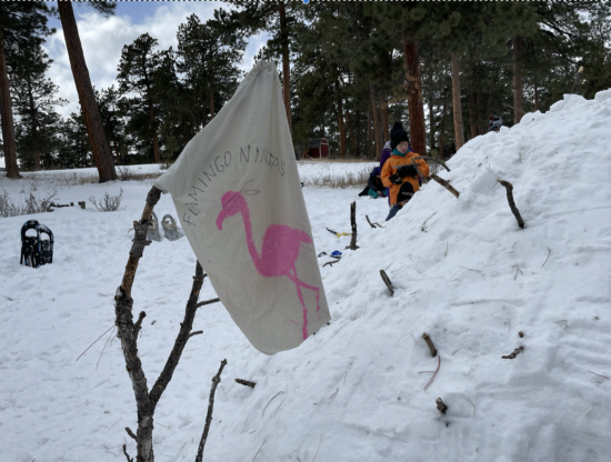 A flag that says "Flamingo Ninjas" planted in the snow