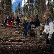 New Vista students passing logs to each other during their fire mitigation project