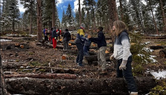 New Vista students passing logs to each other during their fire mitigation project