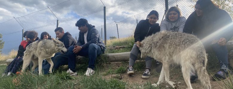 DMLK students meet two wolves!