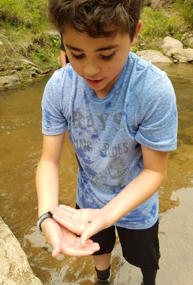 boy by the river with a bug in his hands