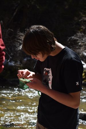 NVHS student examines macroinvertabrates