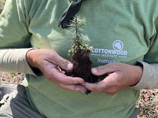 A Cottonwood Institute Instructor holds a tree sapling about to be planted for forest restoration.