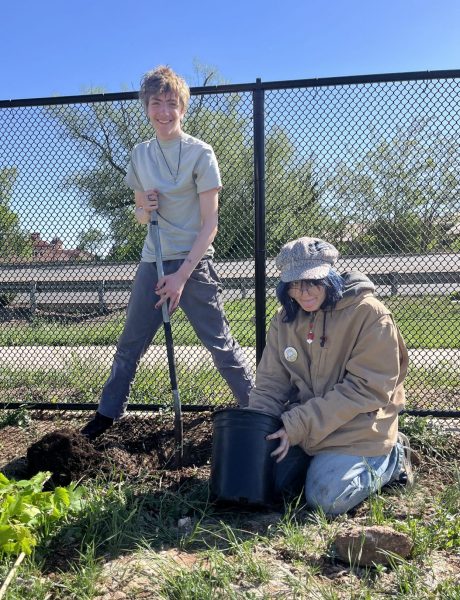 Two students seem happy and hopeful while planting berry bushes on the school farm.
