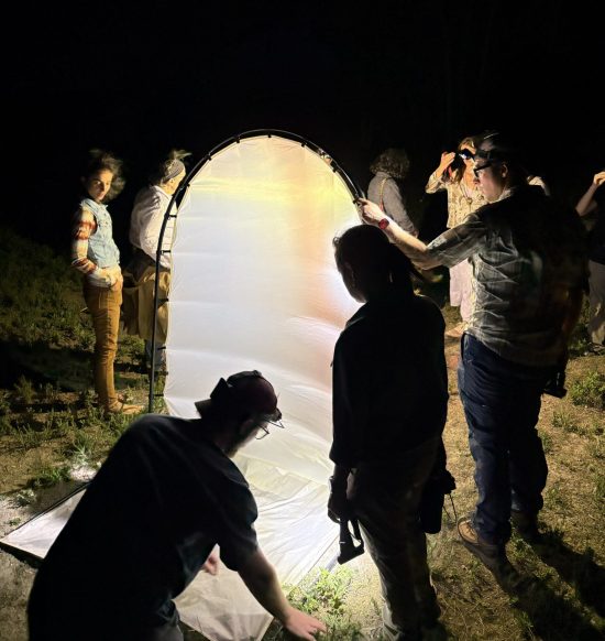 People stand around an LED lit pop up tent at Mothapalooza.