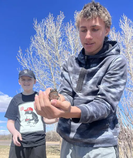 One AXL student holds a bullfrog while another looks onl