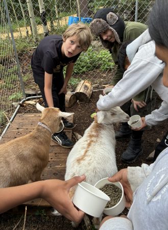 Students enjoy feeding goats on their camping trip at Golden Gate Canyon.