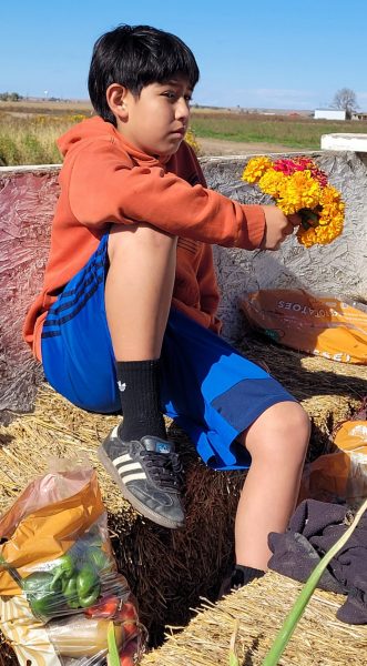 A Lafayette youth sits on a tractor holding a bouquet of flowers during their outing to Miller Farms.