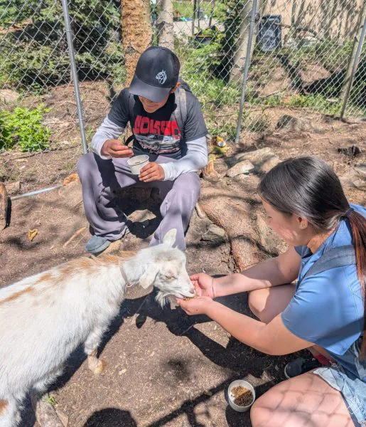Two Casa teens feed the resident goat during the family camping trip.